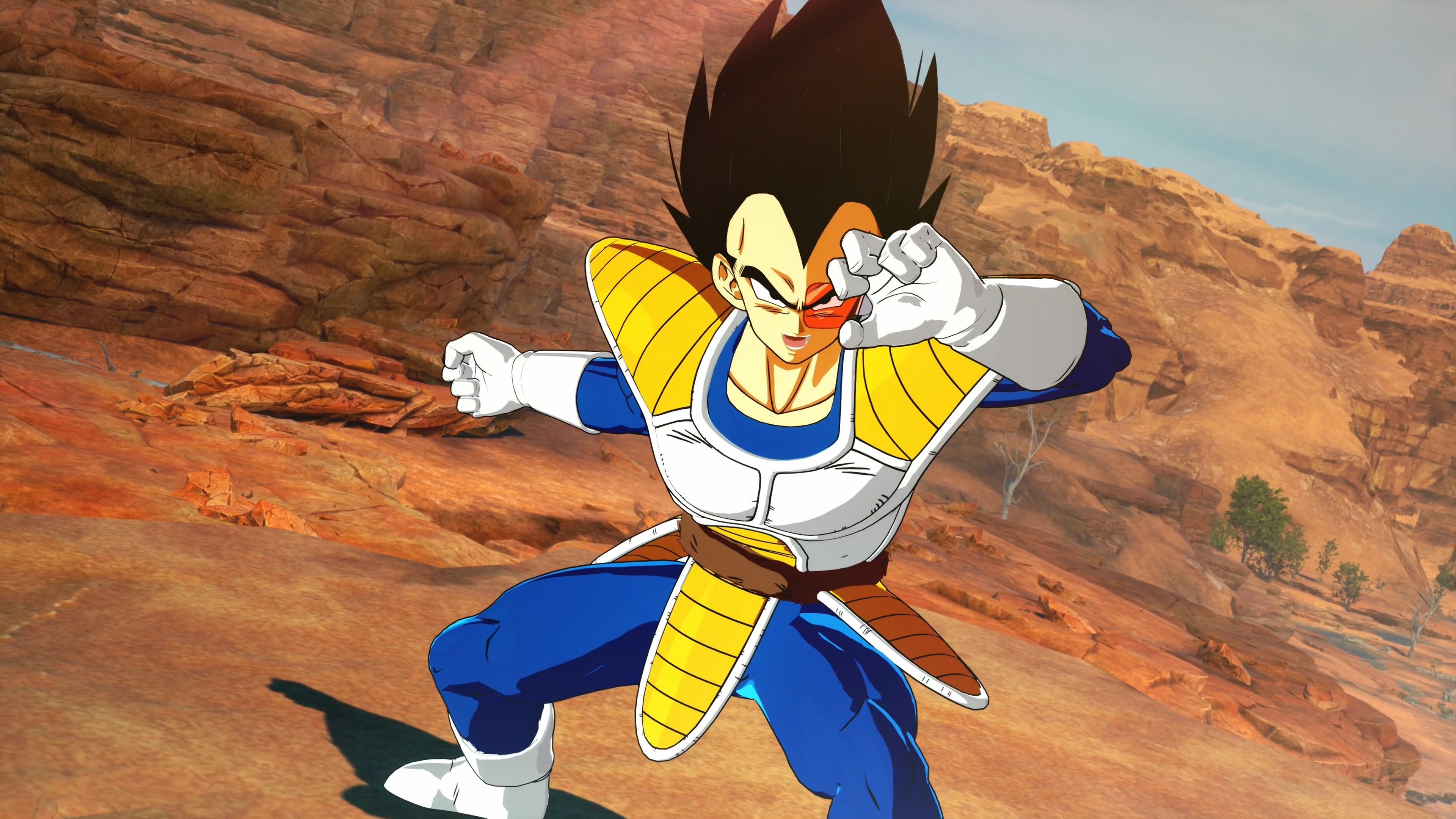 image preview(placeholder)