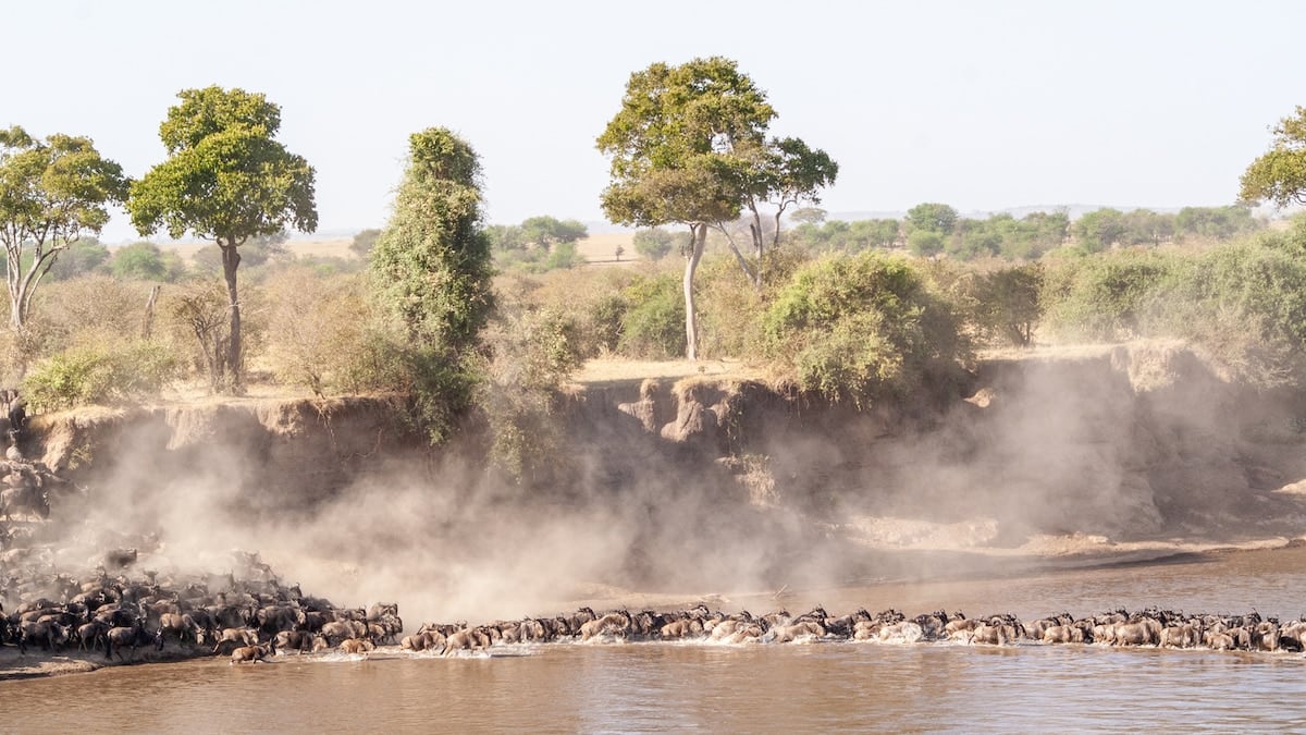 Tanzania en tres actos: la ruta que une baobabs, manadas y un cráter con 25.000 animales