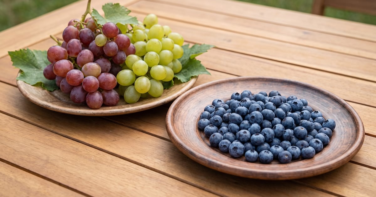 Arándanos o uvas: cuál te complica menos el azúcar en sangre y la forma inteligente de comerlas