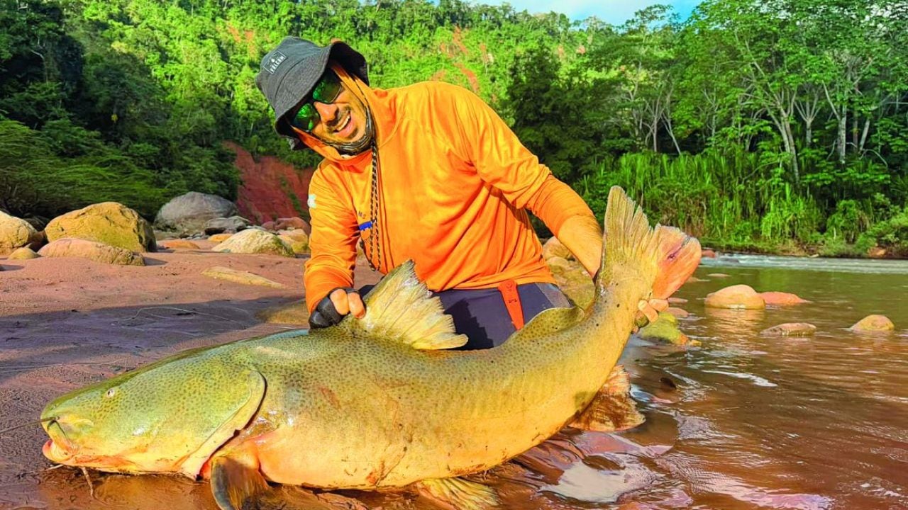 Aguas de la Amazonía boliviana: un río de 350 kilómetros con quince especies y piezas de hasta 25 kilos