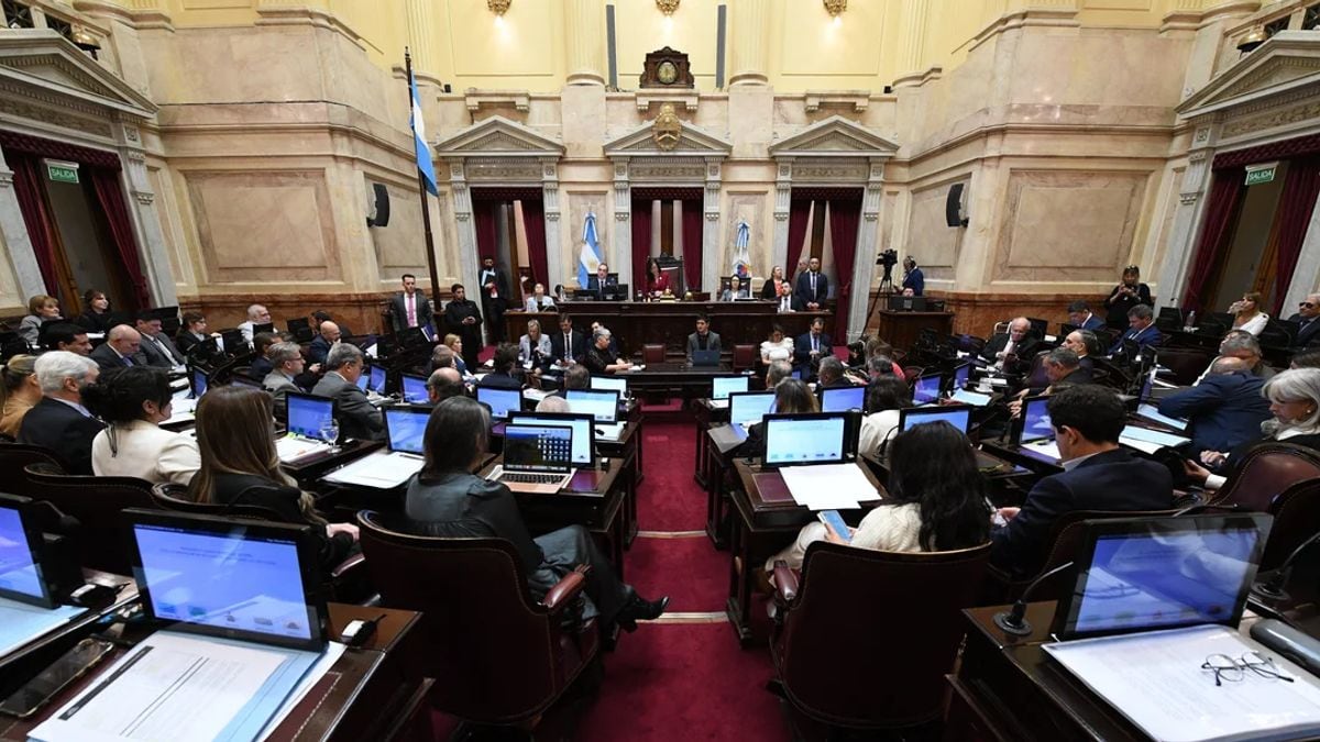 El Senado define el futuro de Kueider con final abierto