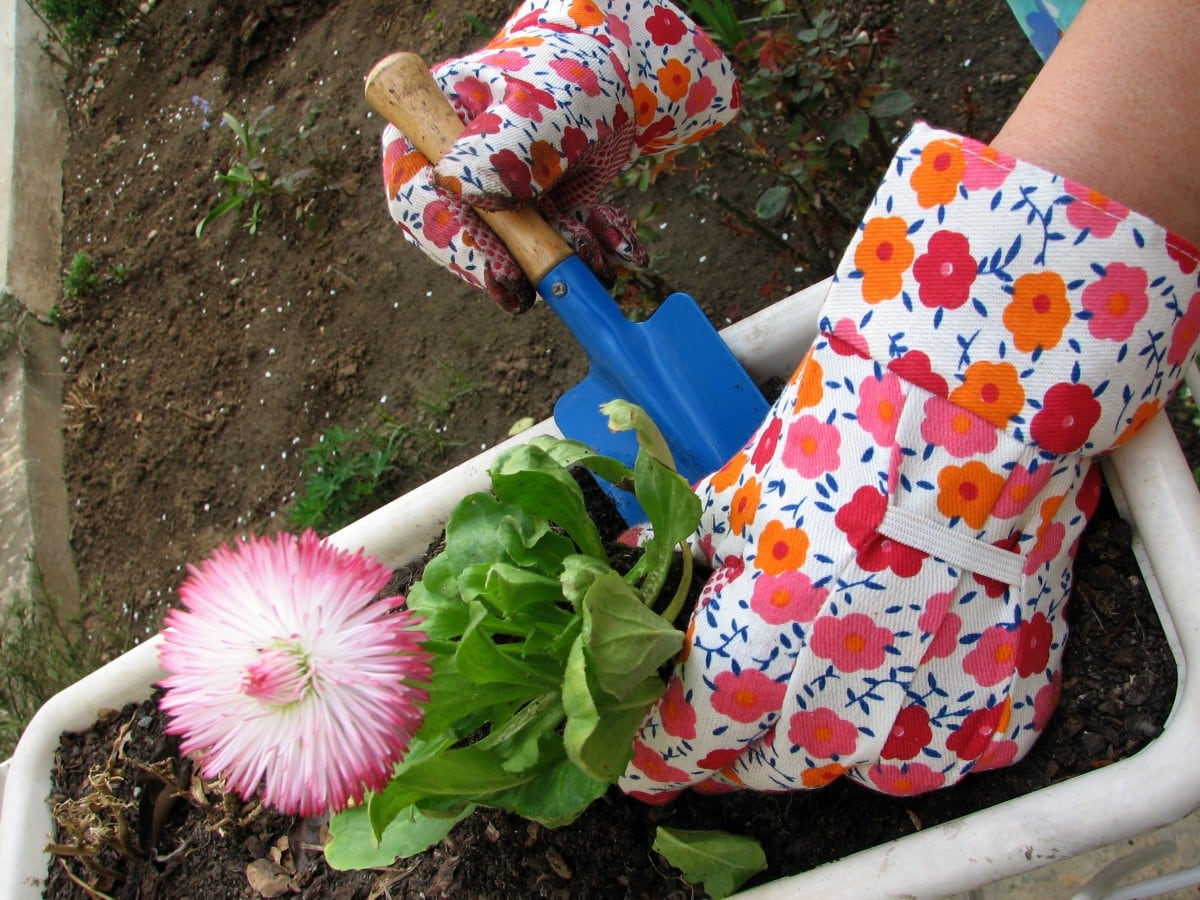 Qué es la «Gardening Therapy» y que beneficios tiene