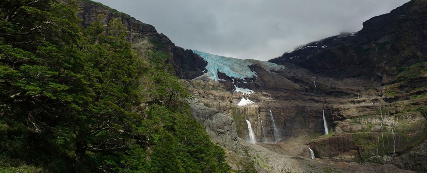 Dura dos días y recorre una selva: la excursión del parque nacional Nahuel Huapi que fue habilitada