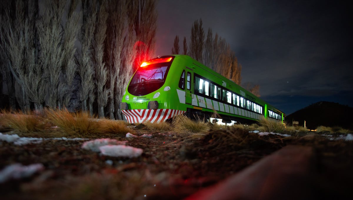 Con cine y restaurante, la vuelta del Tren Patagónico: ya se venden pasajes