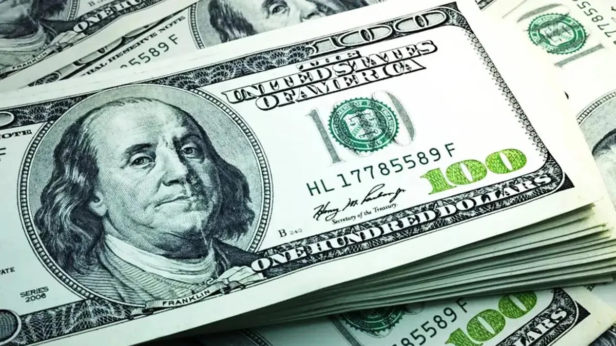 Dólar blue en Neuquén: a cuánto se comercializa este viernes 20 de diciembre de 2024