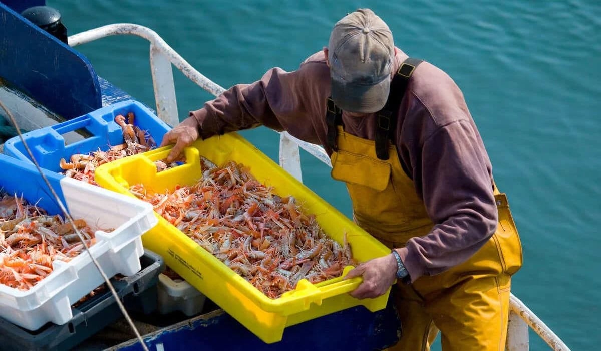 Paradoja: la pesca aportó US$1842 millones, pero los empresarios dicen que no tienen rentabilidad y se quejan de la suba de un arancel