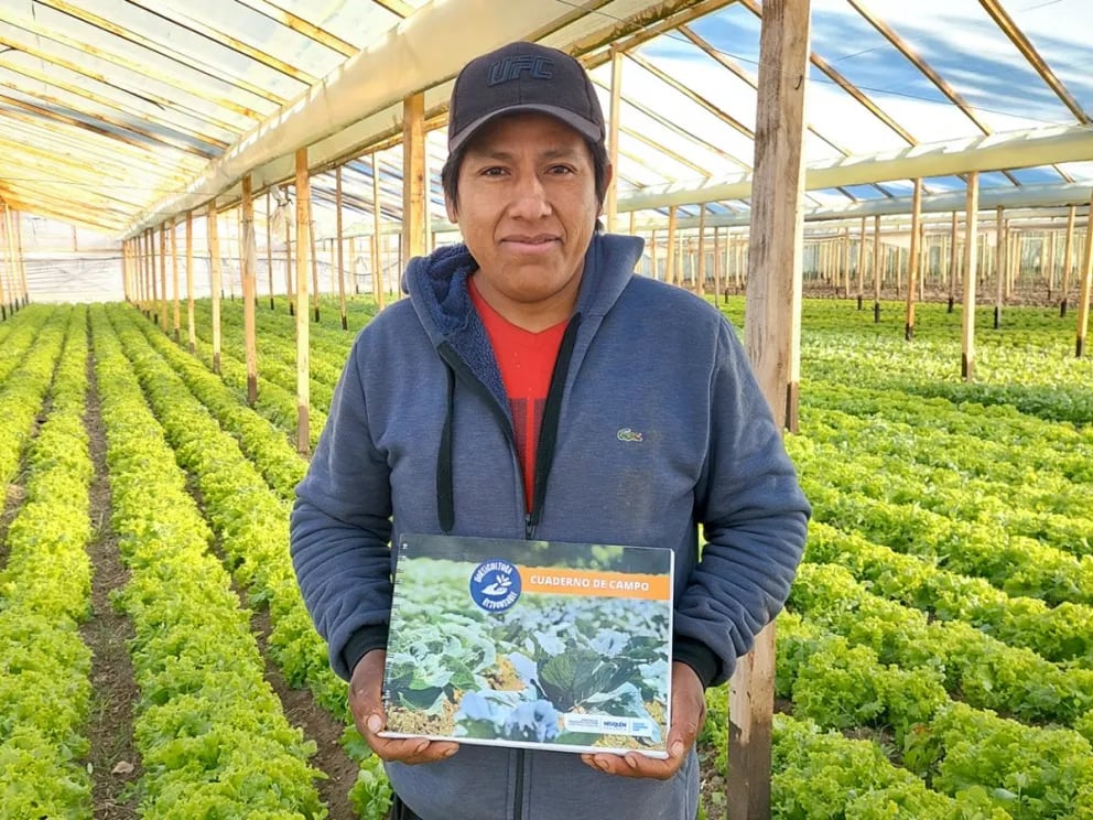 Programa de incentivo para productores de frutas y hortalizas