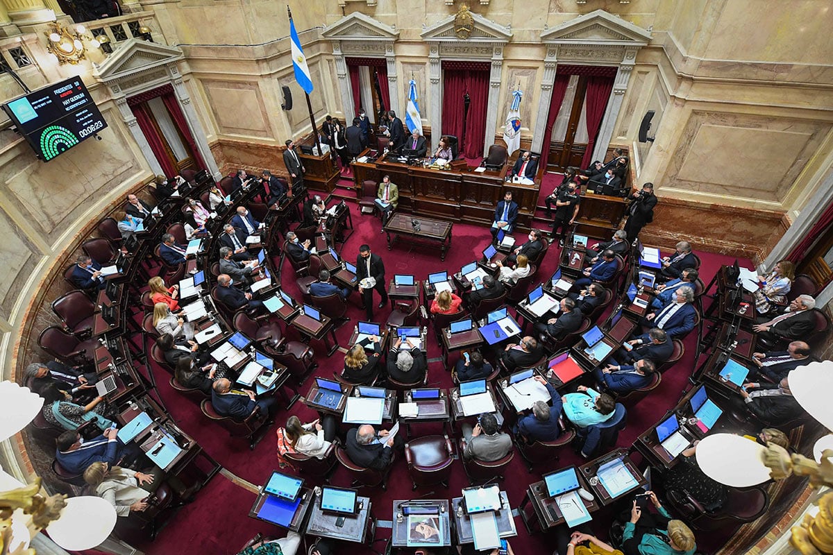 Quiénes son los 24 senadores que terminan su mandato el 10 de diciembre: el kirchnerismo, el sector que más arriesga