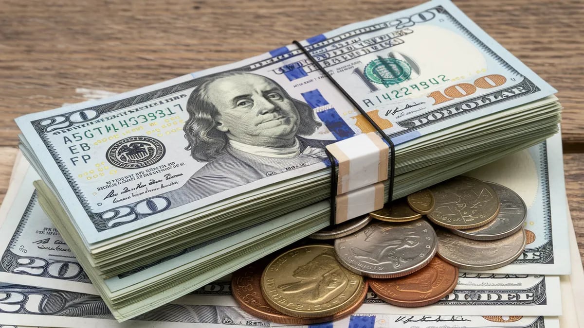 Dólar blue en Neuquén: a cuánto se comercializa este lunes 13 de enero de 2025