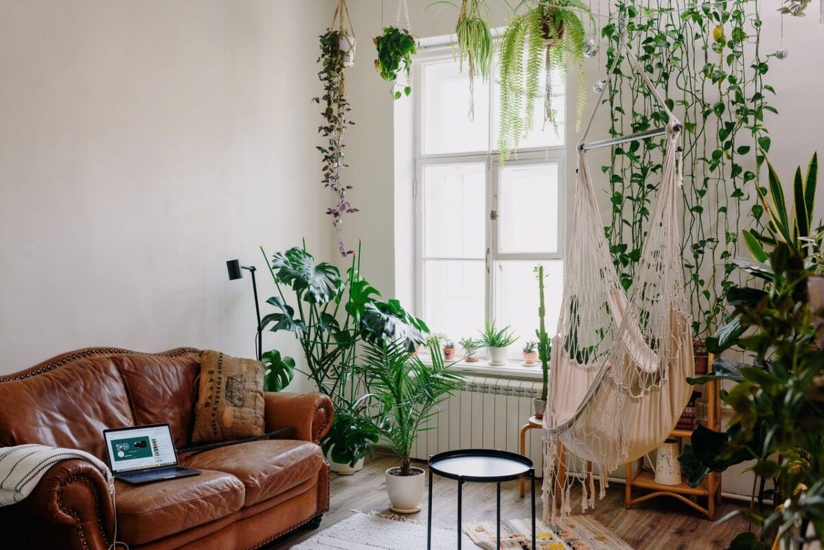 Todos los beneficios psicológicos de tener plantas en el hogar, según la ciencia