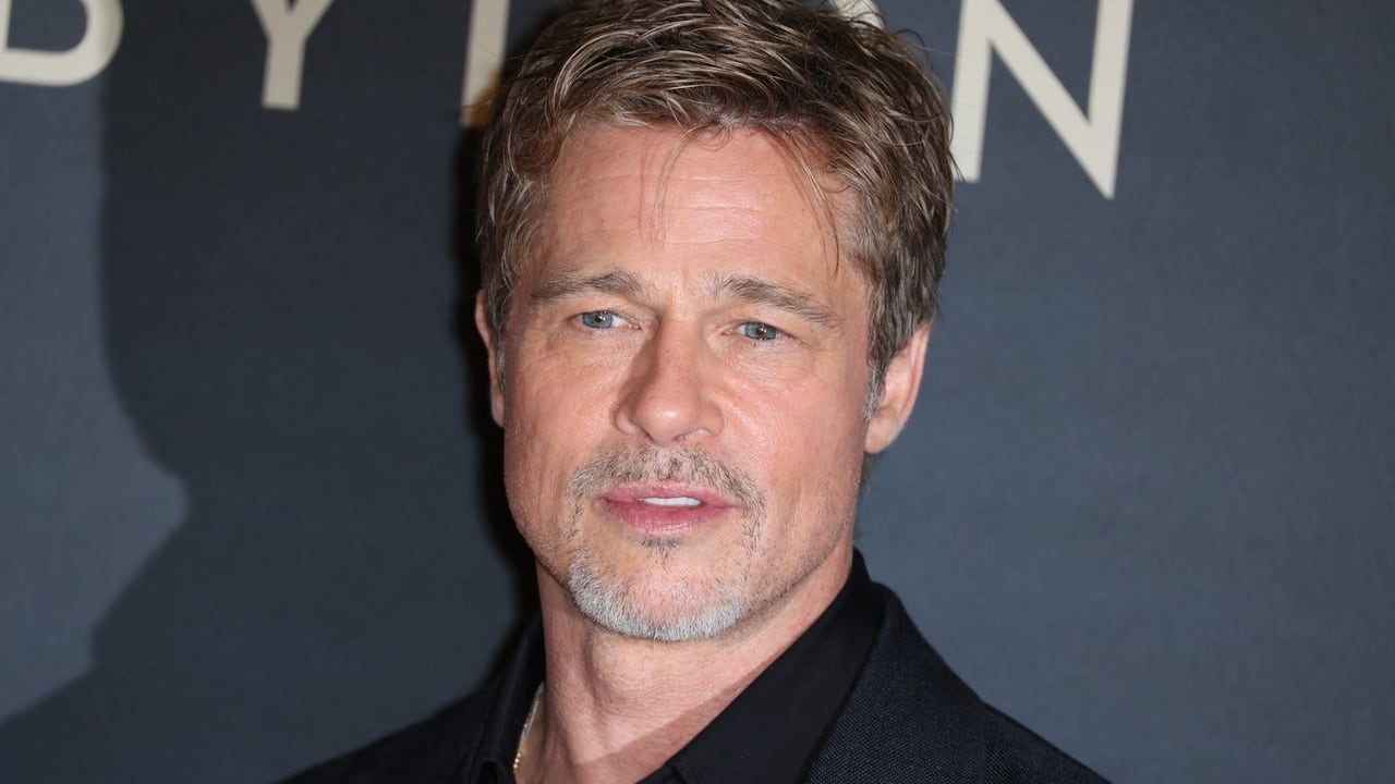 Las insólitas fotos con las que el falso Brad Pitt engañó a una mujer y le robó 830.000 euros