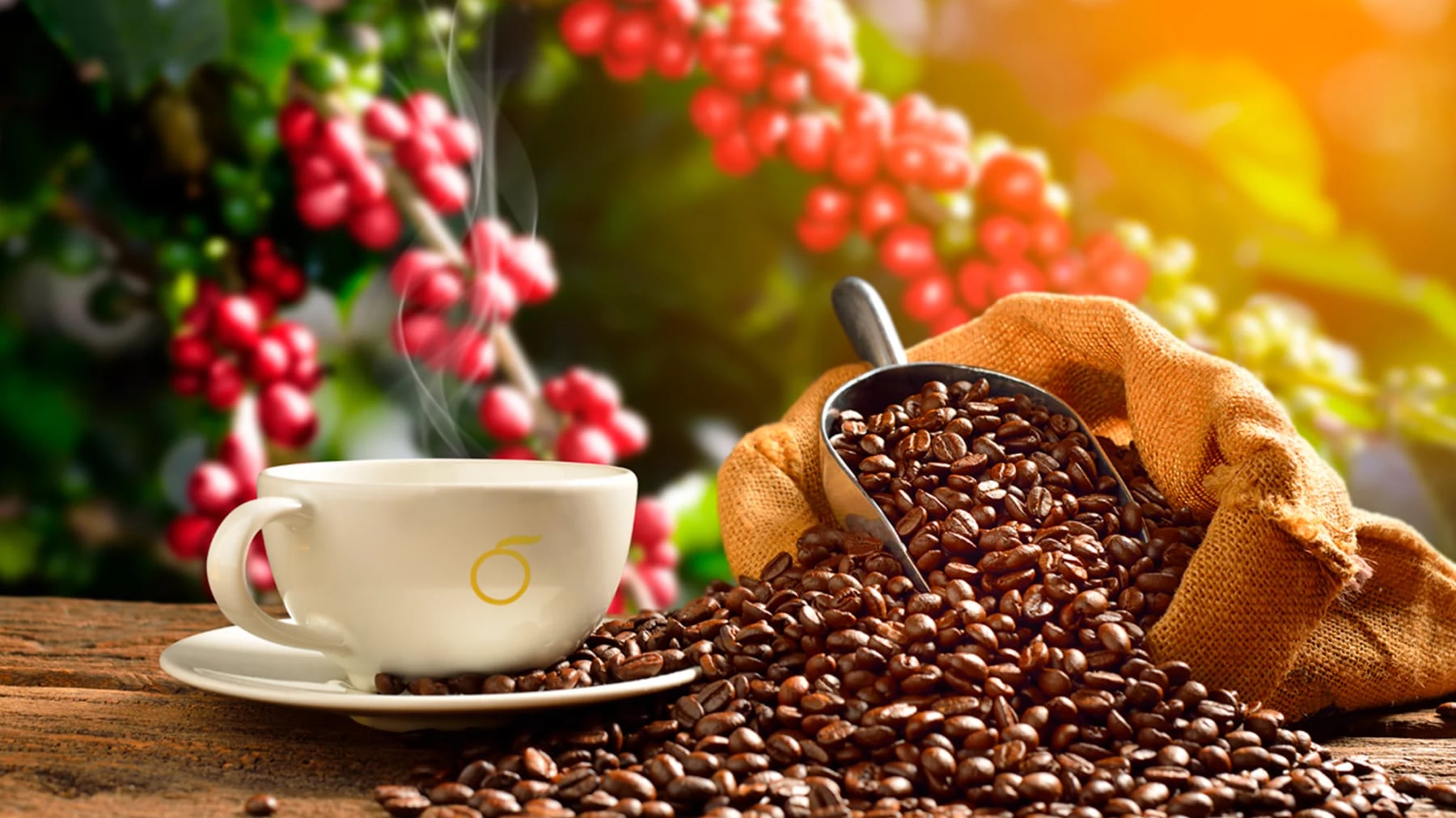 Beber más café en 2025, ¿la clave para el equilibrio entre salud y cultura?