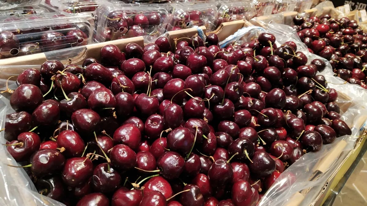 Enero marcó un repunte en la importación de cerezas en Argentina
