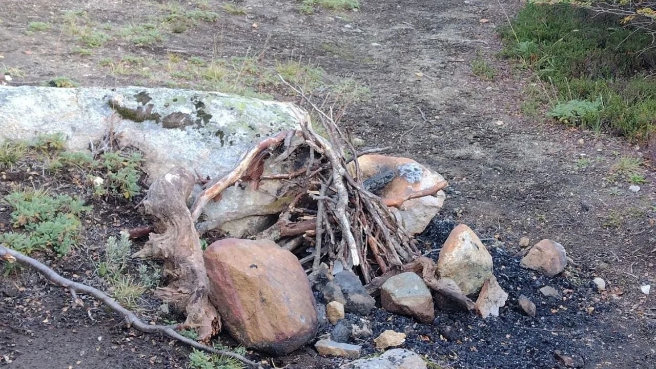 Desactivan 132 fogones en zonas prohibidas y decomisan 167 truchas en Neuquén
