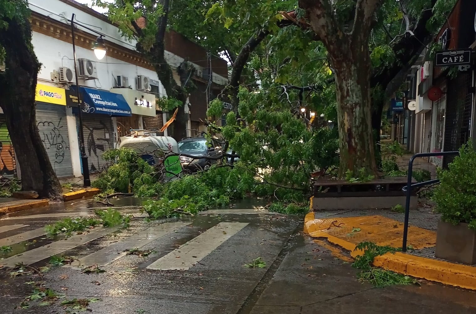 Ráfagas de viento de 100 km por hora y abrupta caída de la temperatura: qué causó el temporal de la madrugada