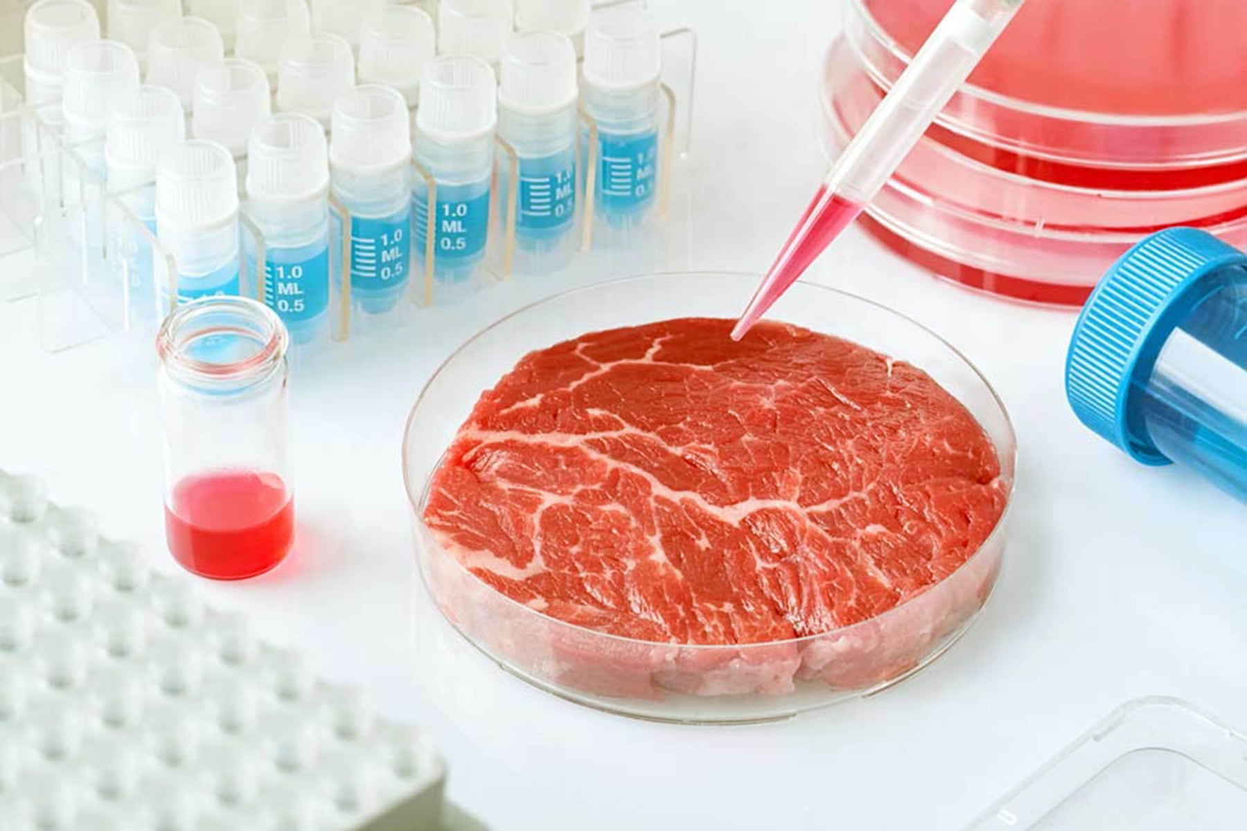 La carne de laboratorio avanza en el mundo: ¿cuándo llegará a la mesa de los argentinos?