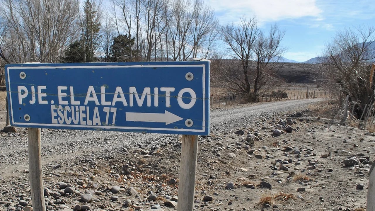 Hallazgo preocupante en El Alamito: 250 loros muertos y sospechas de envenenamiento