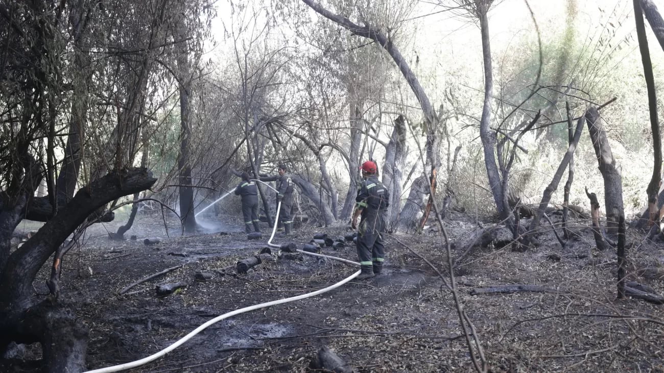 Tras el desastre provocado por los incendios en El Bolsón, el Gobierno declaró la Emergencia Agropecuaria en la zona