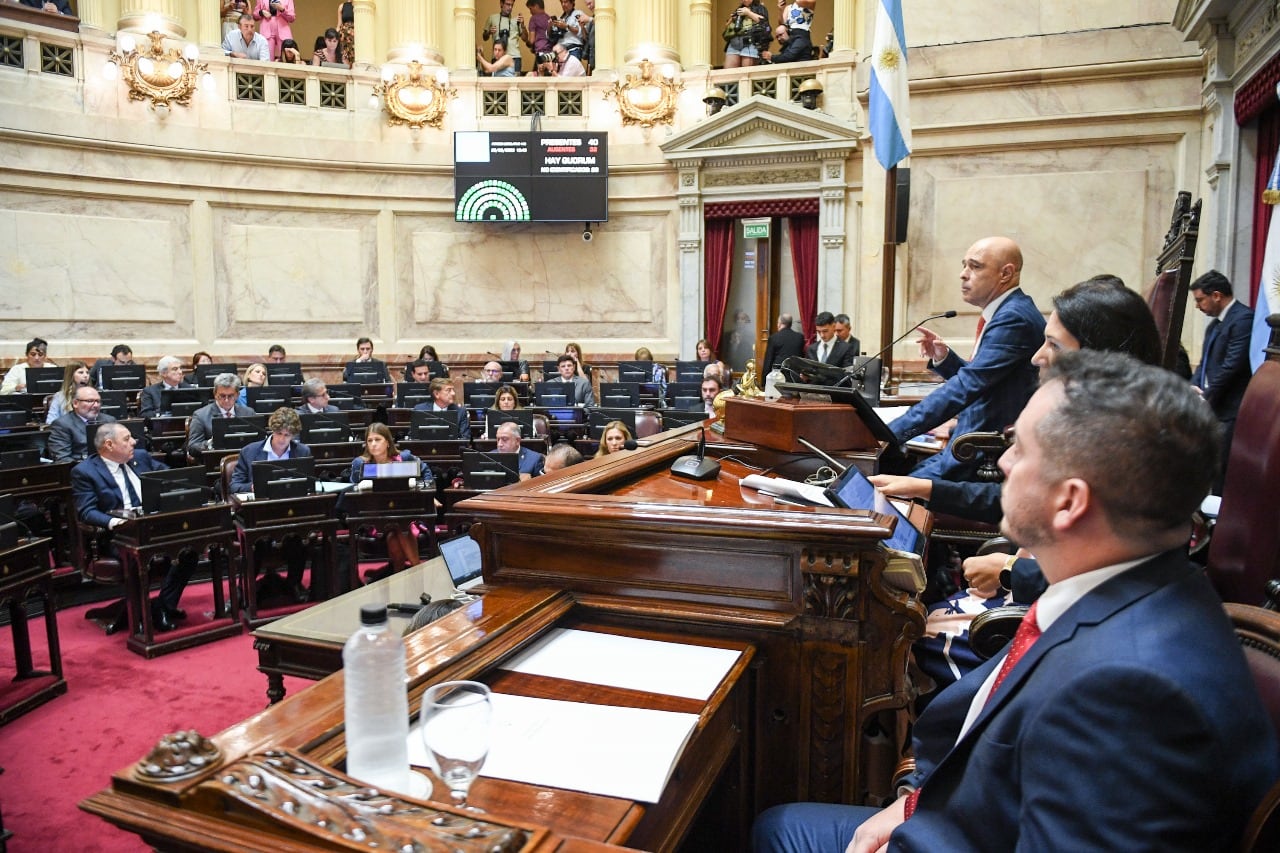 Se aprobó la suspensión de las PASO: así votaron los senadores de Neuquén y Río Negro