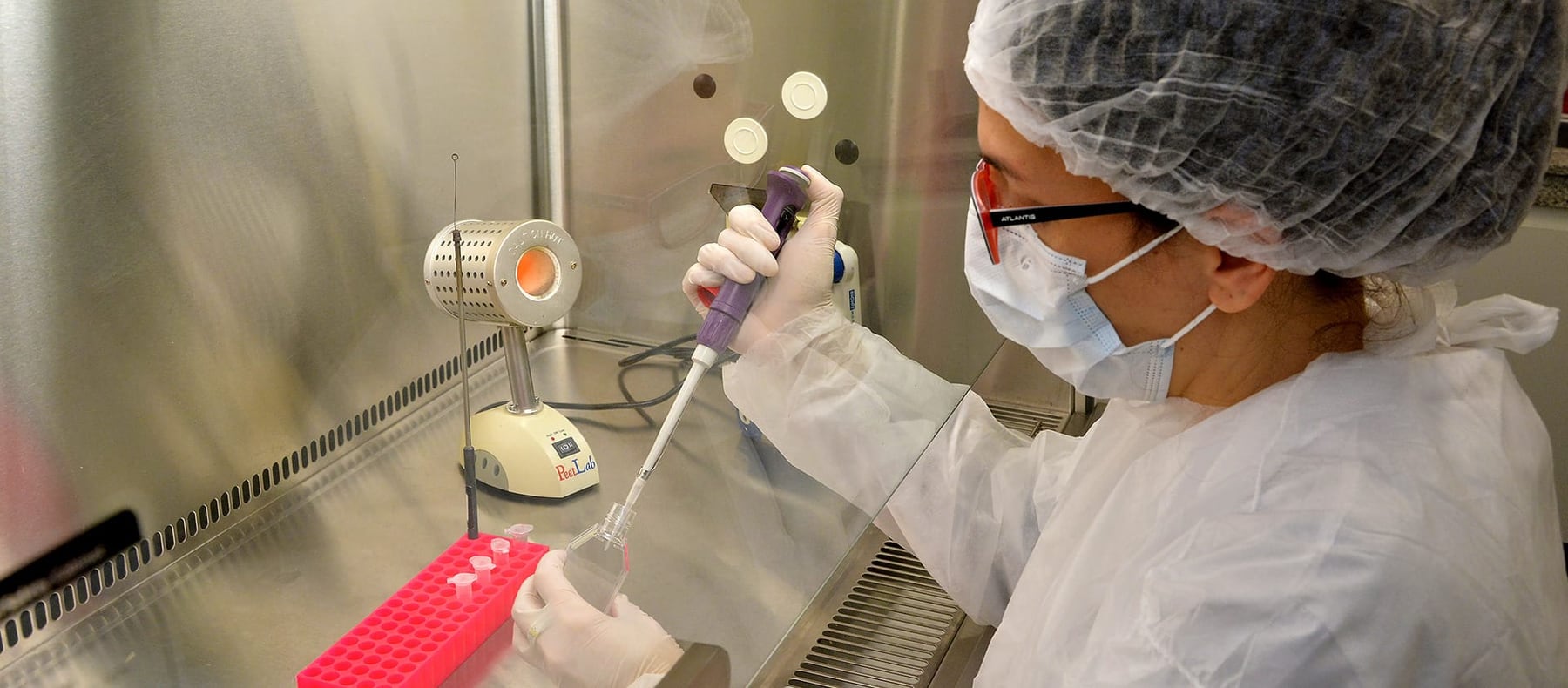 Innovación argentina: Conicet desarrolla kits de diagnóstico con IA