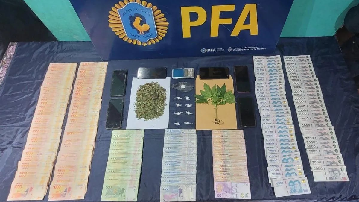 Allanamientos en kioscos narco de Neuquén: la Policía Federal confisca casi $4 millones