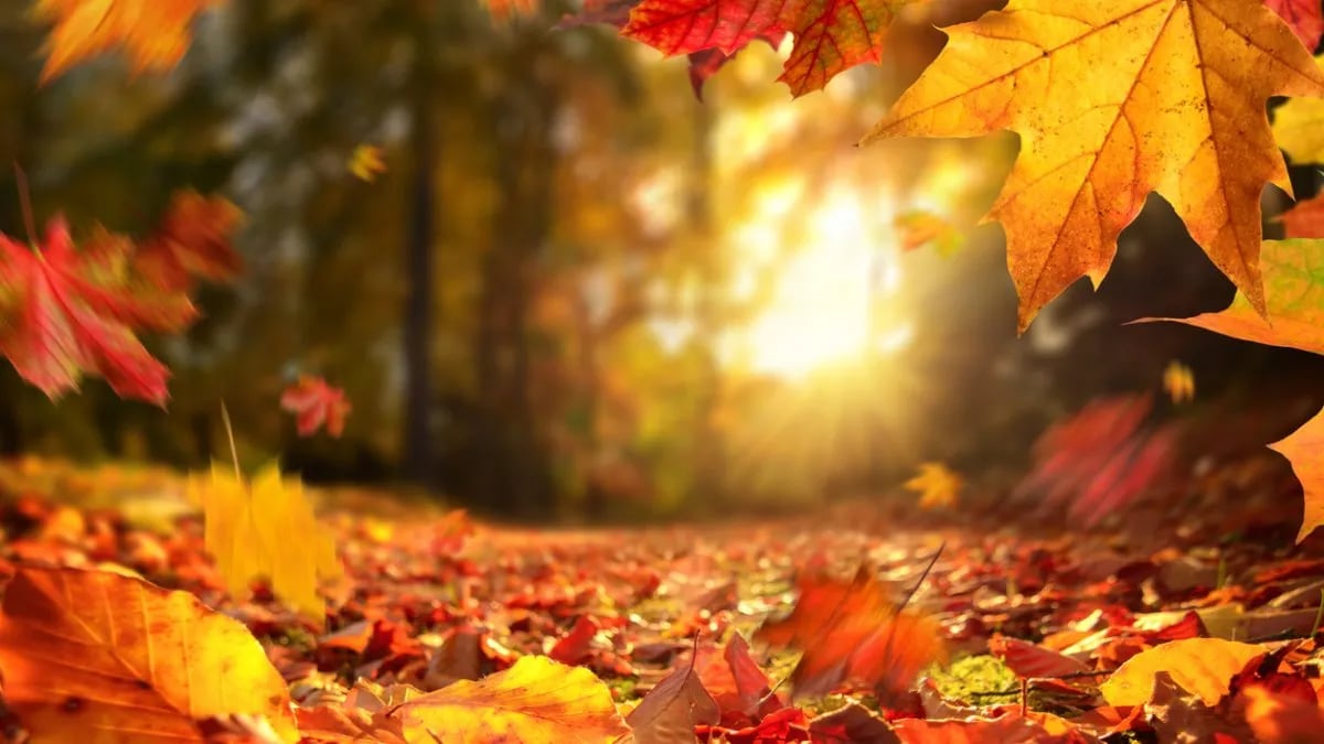 Otoño con calor: el clima traerá temperaturas superiores a lo normal