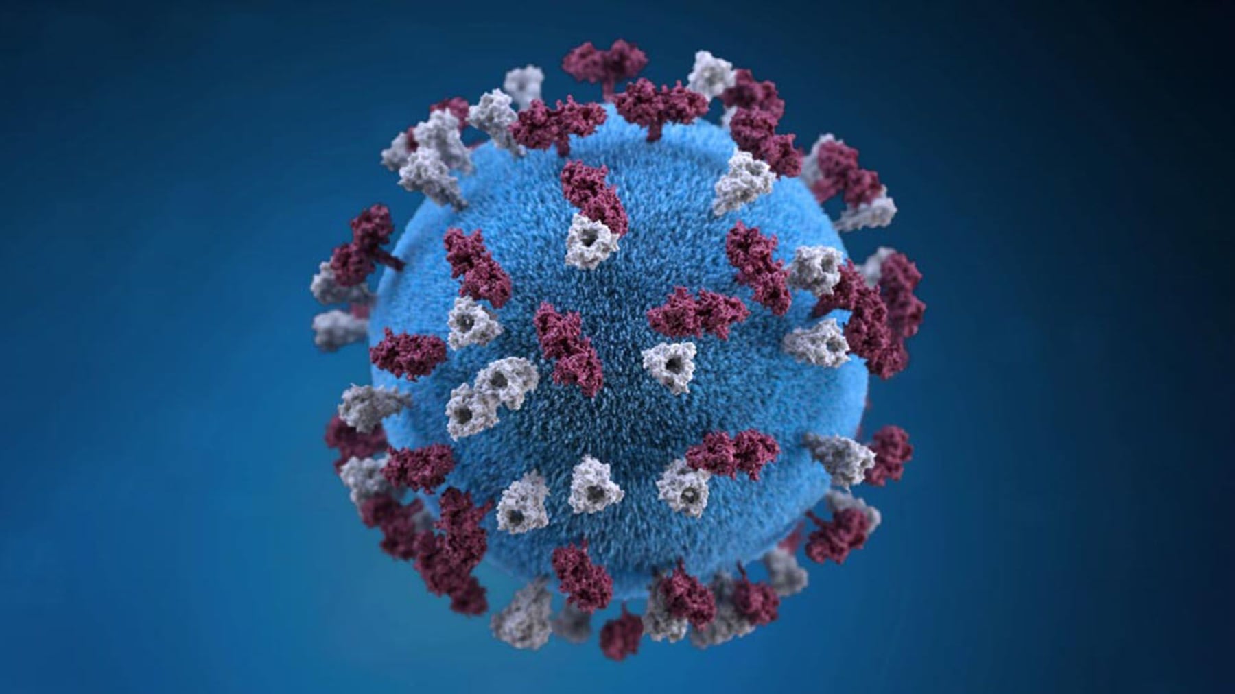 América enfrenta un rebrote de sarampión, hepatitis A y tos convulsa