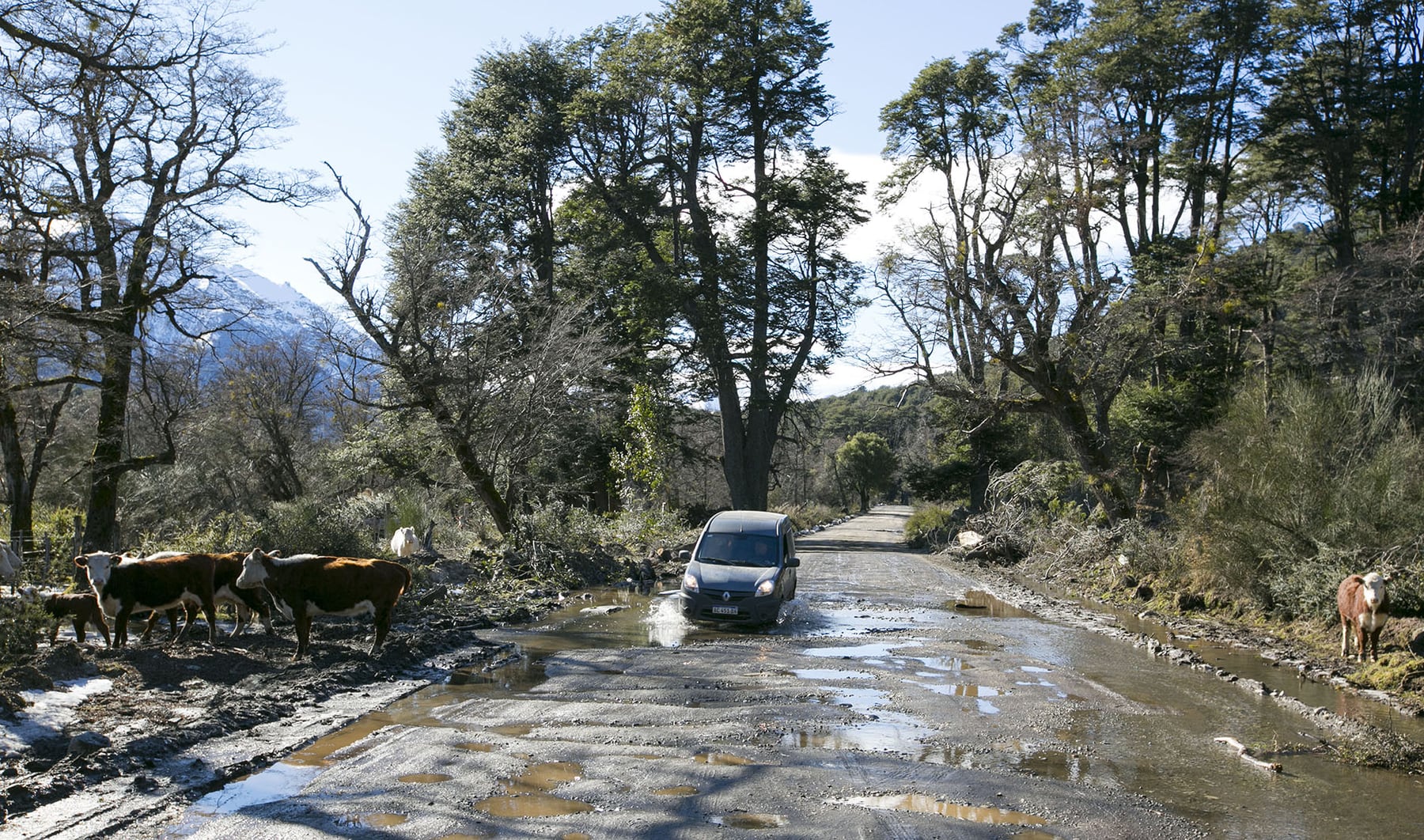 Semana Santa: Estado Actual de la Ruta 65 Hacia Villa Traful