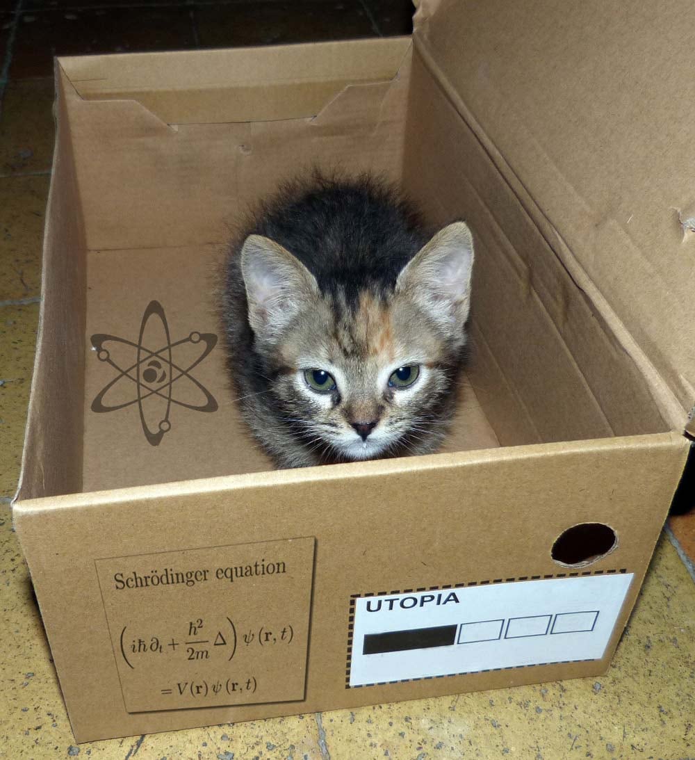 Liberan al “gato de Schrödinger” de las restricciones impuestas por la temperatura
