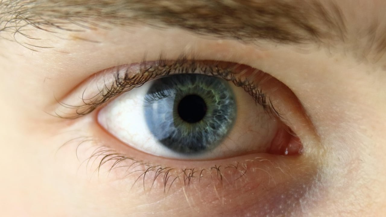 Olo, el color que rompe las fronteras de lo visible para el ojo humano