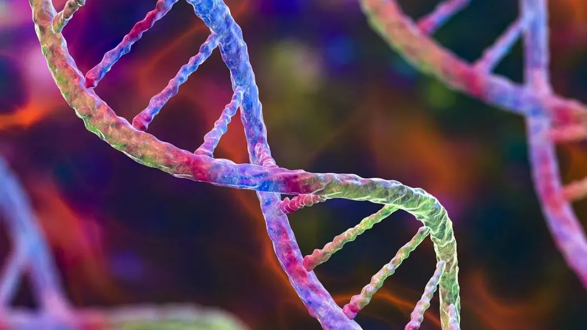 Pruebas genéticas y su impacto en tratamientos médicos, en el Día Mundial del ADN