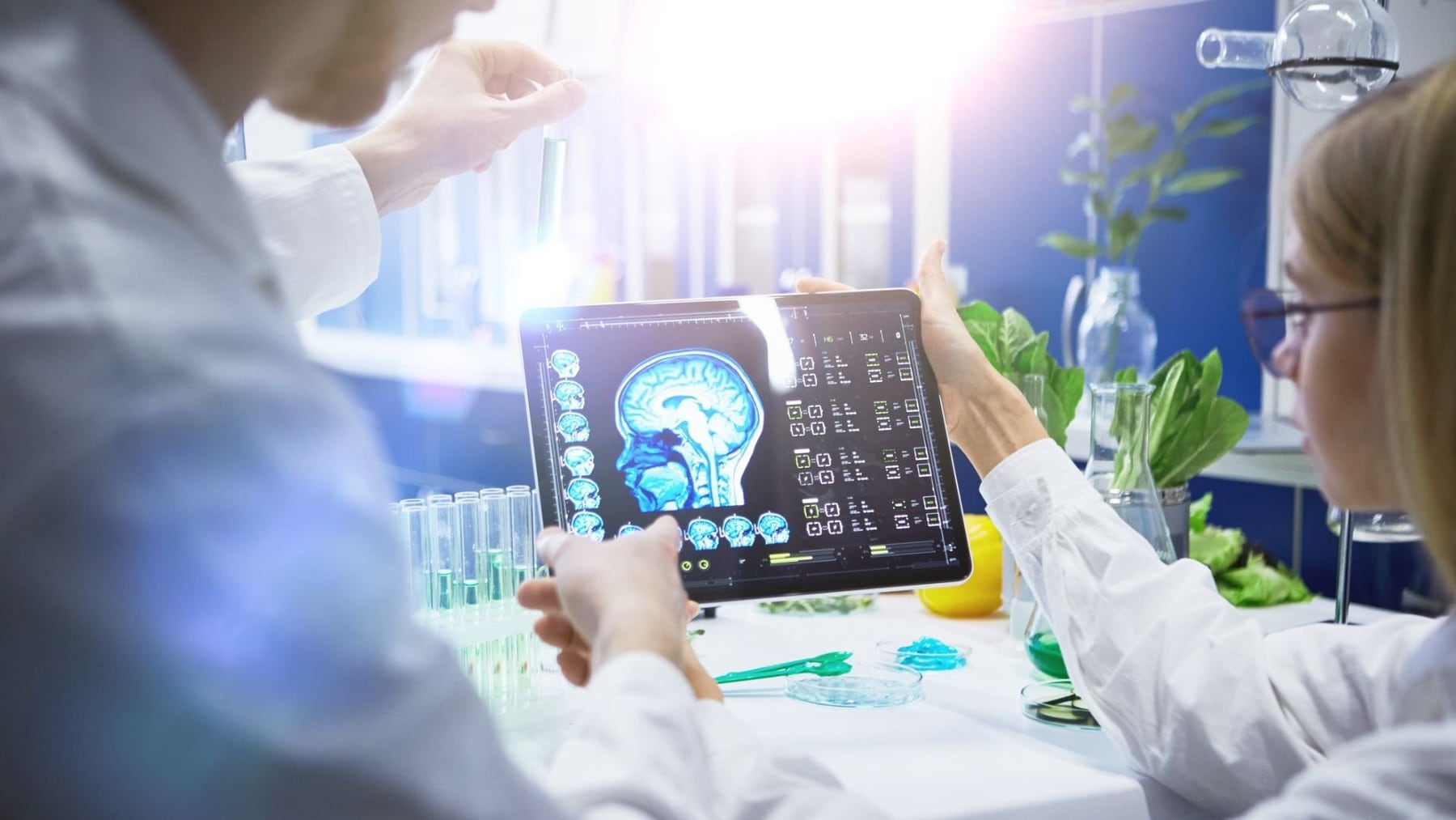 Alzheimer: científicos de Harvard investigan una terapia que podría recuperar la memoria