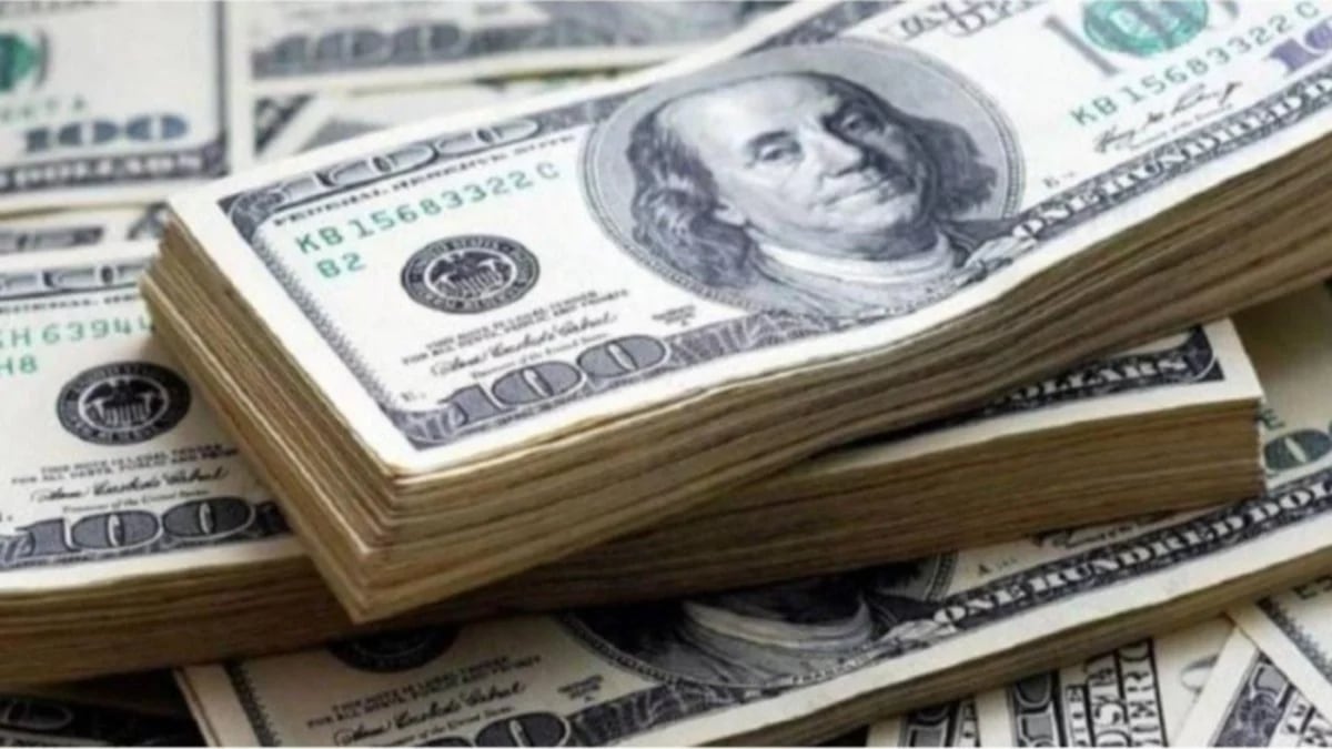 El dólar registró su mayor baja desde que se levantó el cepo