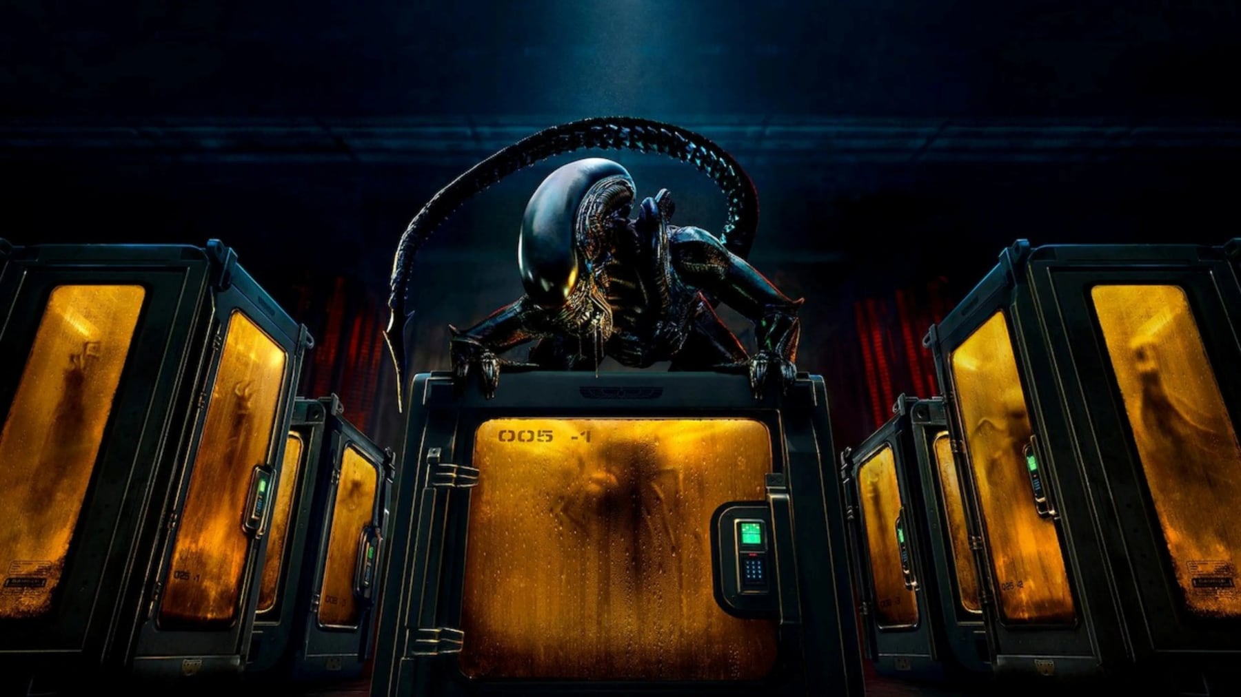 ‘Alien: Planeta Tierra’: qué se sabe de la nueva producción de Disney+