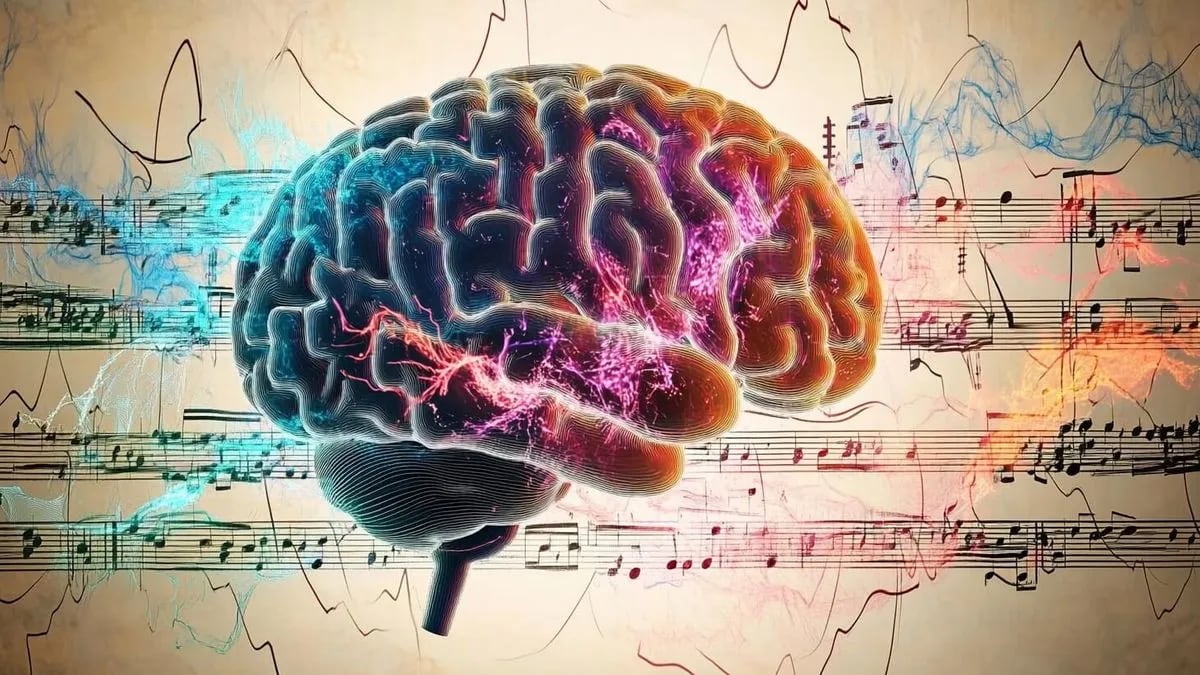 El ritmo de la música y su efecto en las neuronas, bajo la lupa científica
