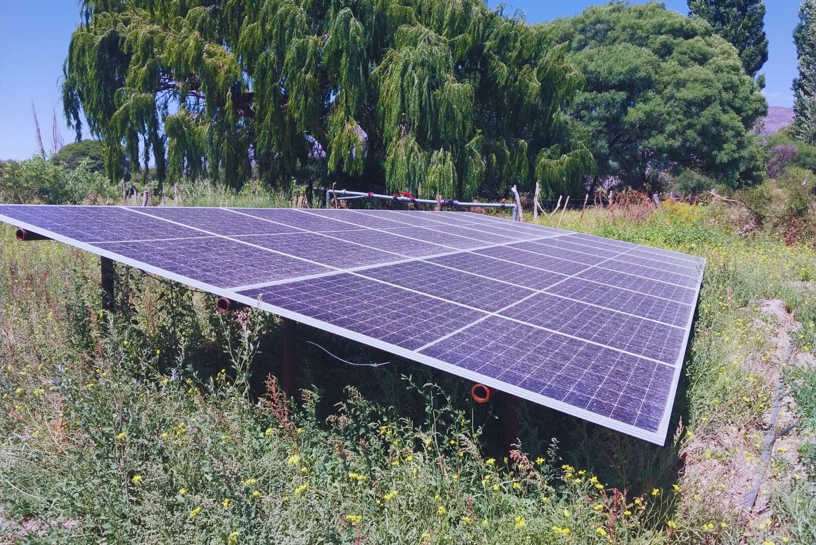 Ajustan normativa de usuarios de energías renovables y eliminan cargos extra