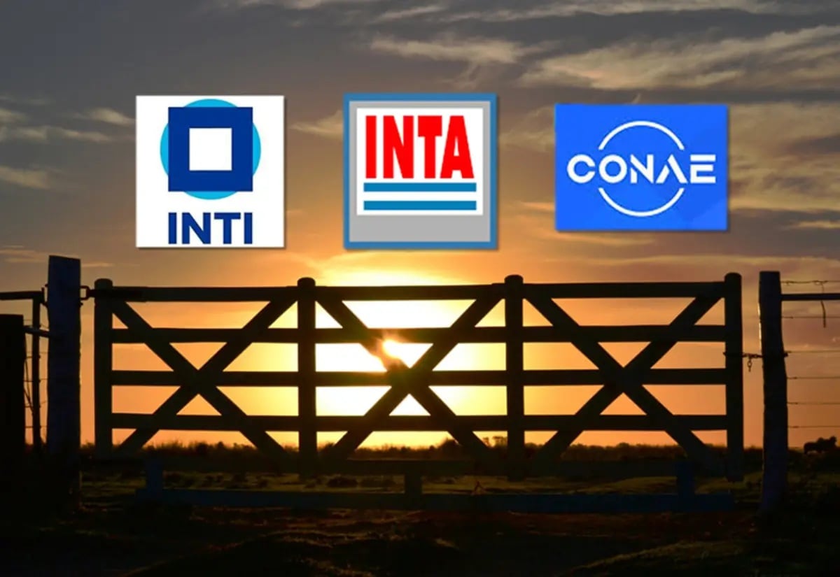 Reestructuran el INTI y el INTA y eliminan el organismo que controlaba el cannabis medicinal