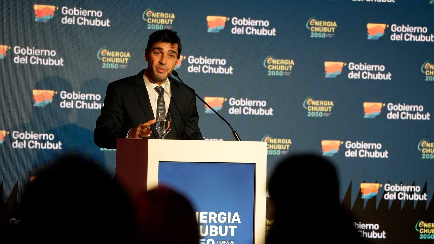 Renovación legislativa en la Patagonia: el papel de los gobernadores