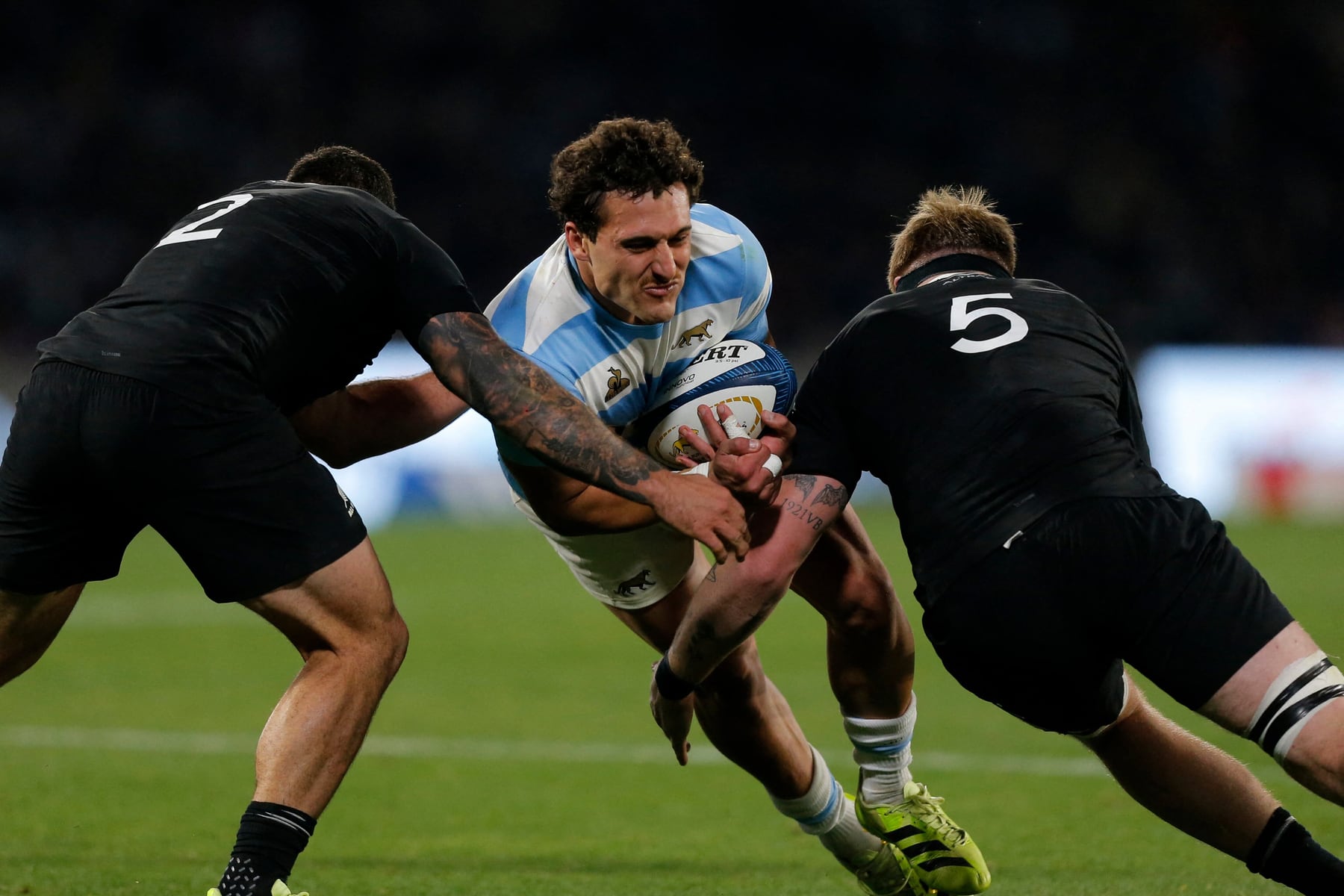 Los Pumas Enfrentan a los All Blacks: La Revancha en Vélez