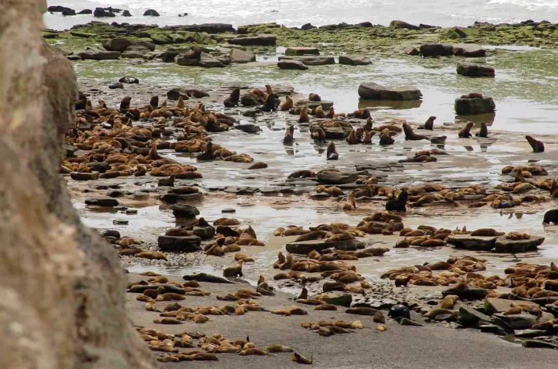 Proyecto de Ecoturismo Revoluciona las Playas de Punta Bermeja