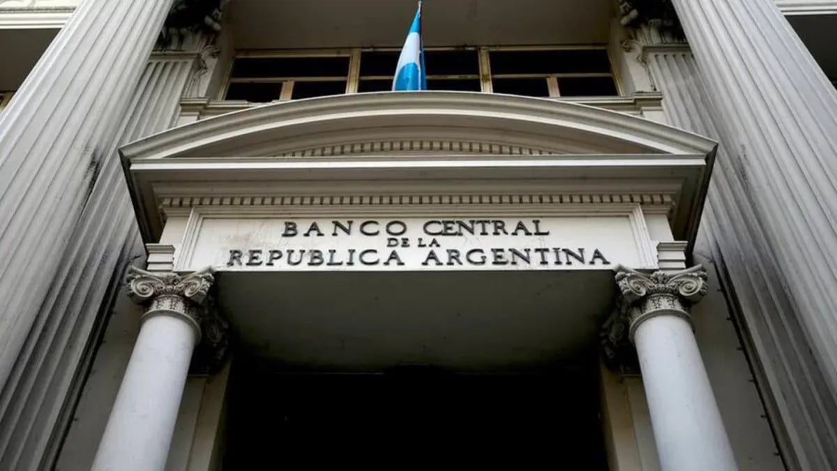 Cómo operan Tesoro y Banco Central en la venta de dólares