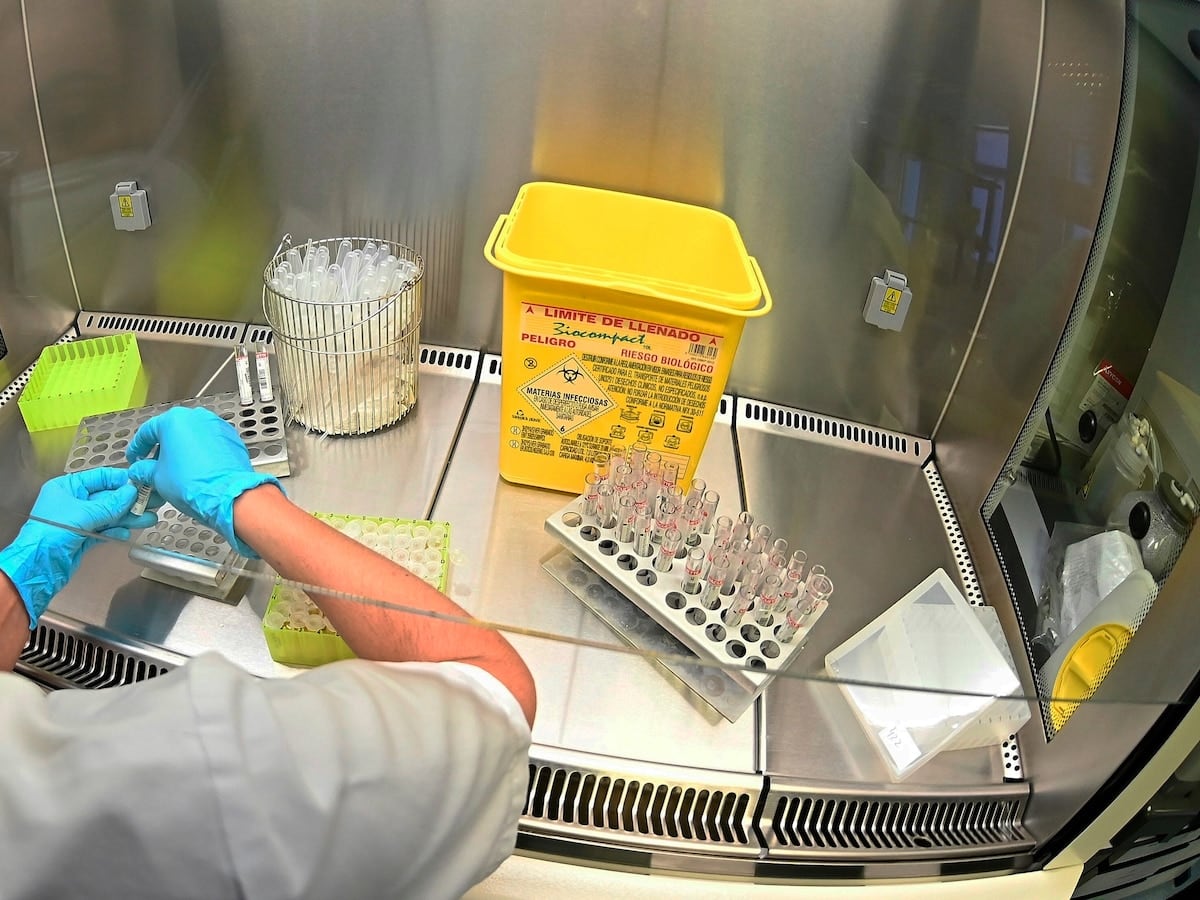 Caso fentanilo: analizan el rol de los inspectores de laboratorios de García Furfaro