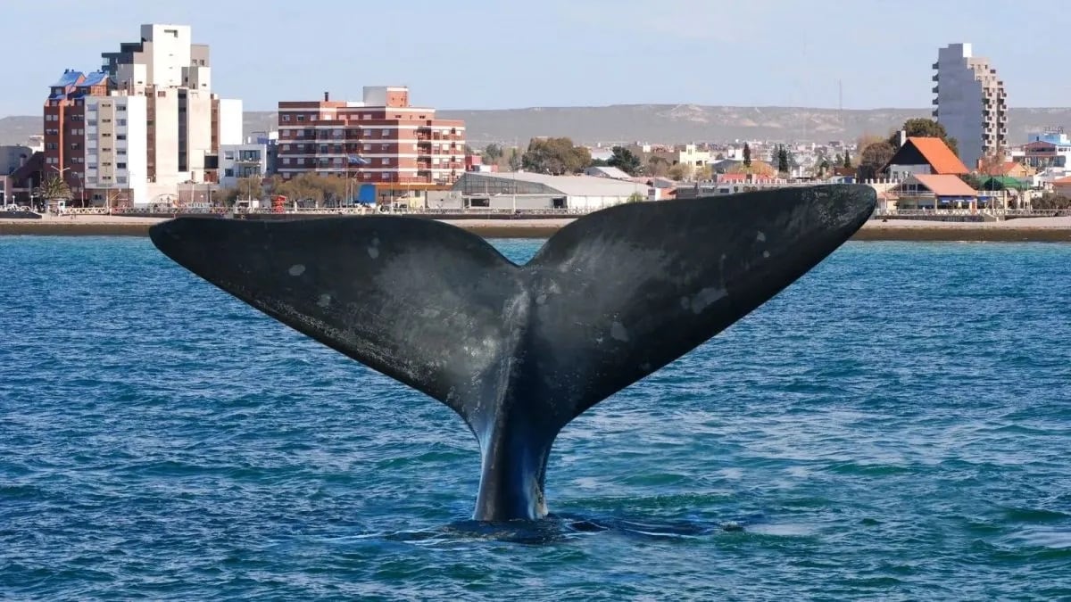 Cuáles fueron los destinos favoritos y el nivel de gasto de los argentinos durante el fin de semana largo