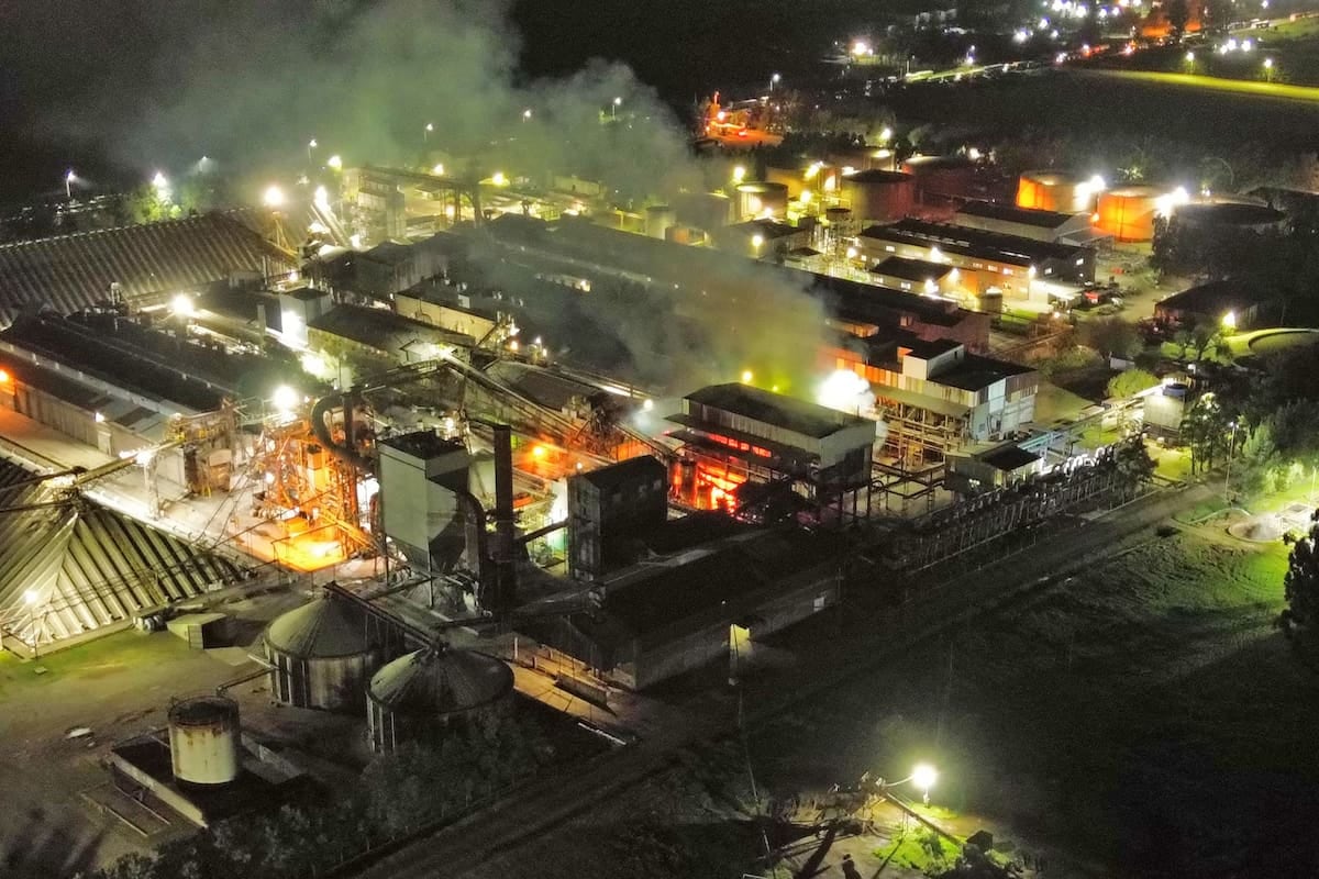 Incendio en Vicentin: evacuación, humo tóxico y un gran operativo