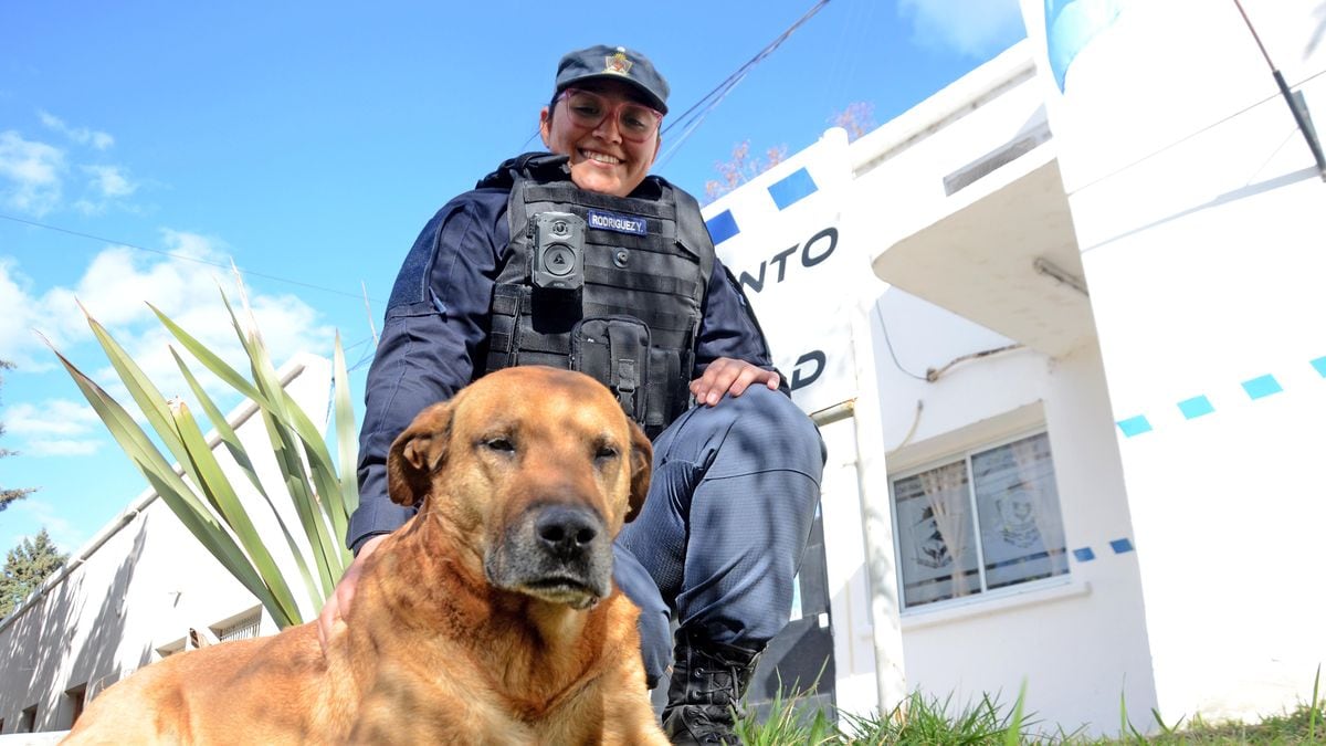 Puchero, el perro que patrulla Neuquén junto a los bicipolicías