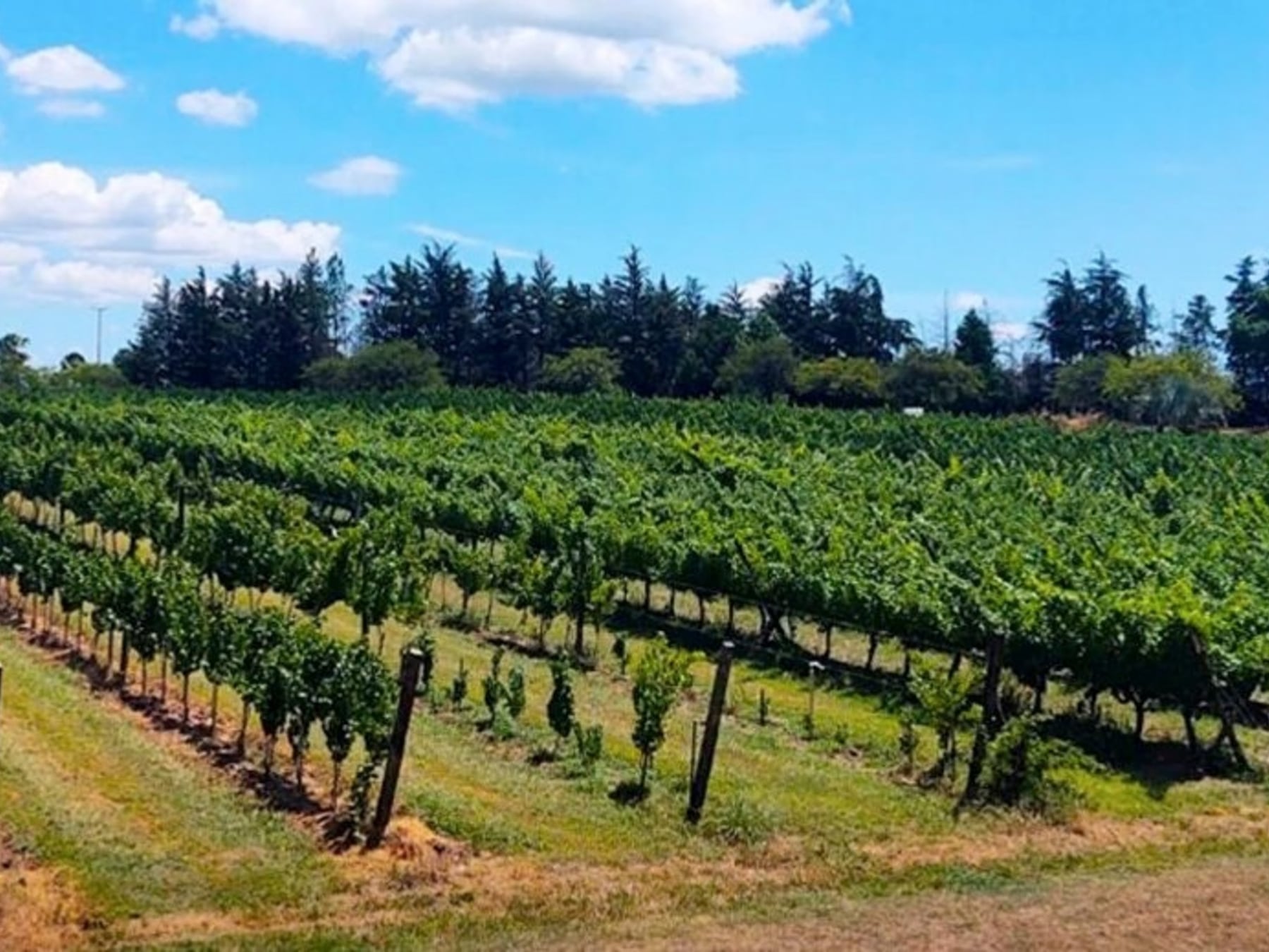 San José combina termas y bodegas con visitas al Molino Forclaz