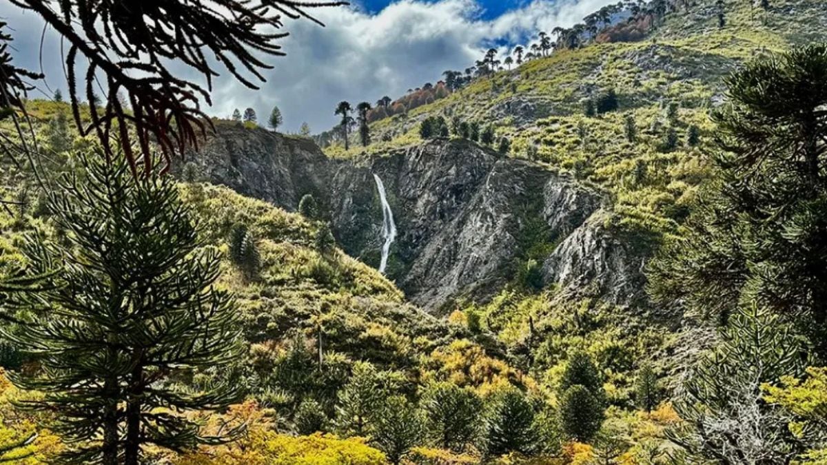 Advierten por ofertas ilegales de terrenos de Pulmarí y piden no entregar dinero