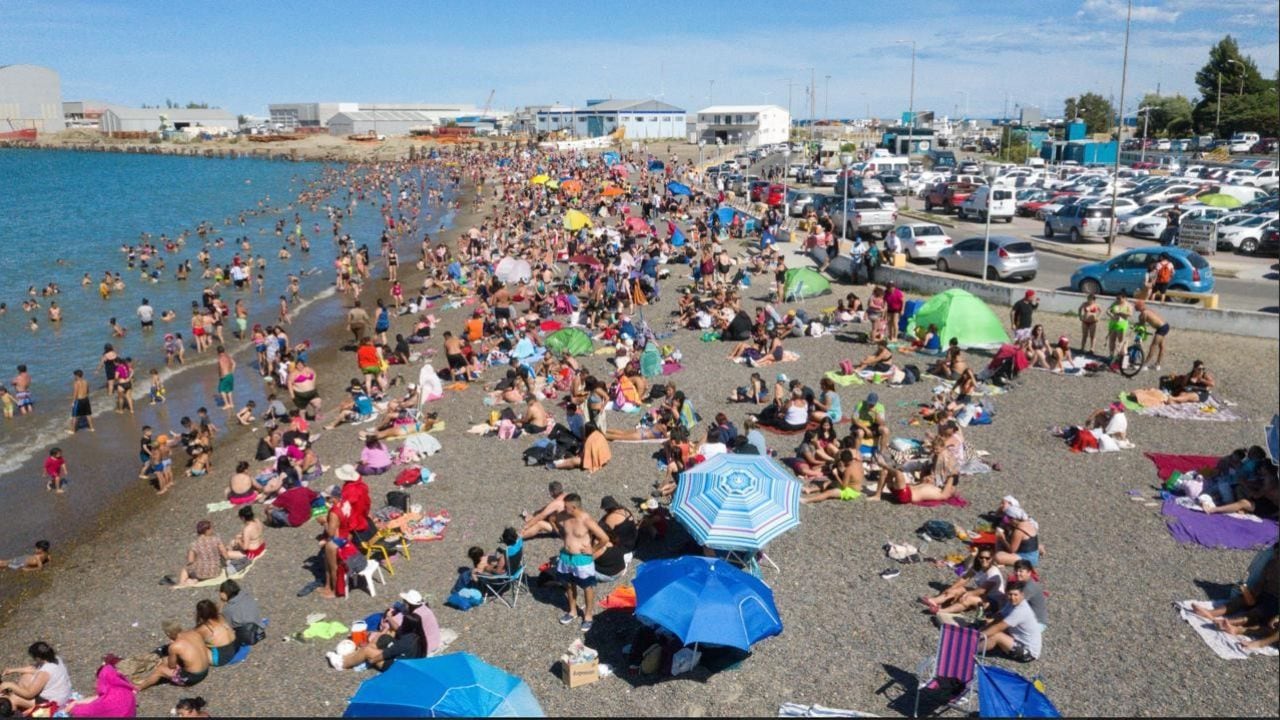 Comodoro Rivadavia tendrá temporada de avistaje de ballenas sei desde febrero de 2027